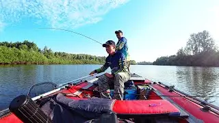 Pike perch, pike on spinning in the summer in the terrible heat!!! Excellent fishing turned out