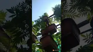 Vertical Hydroponics marigold farming @hydrofarmer