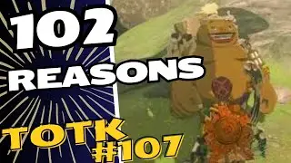102 Reasons To Watch LUR Play Tears Of The Kingdom - TotK107
