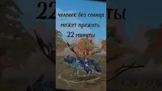#wildcraft #солнце