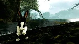 ArcheAge - ИСТОРИЯ Локации 
