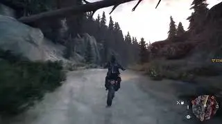 Жизнь после ✓ Days Gone ✓ PS-5