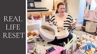 Real Life Reset: Toy Declutter and Playroom Organization 