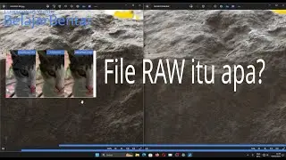What is RAW Format File in Photos on Mirrorless Cameras, DSLRs, Smartphones