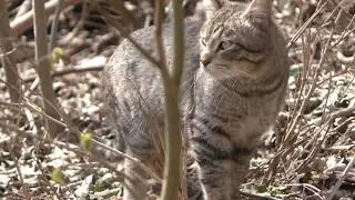 Рыба есть!Рыбалка на реке Луга весной.