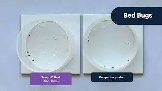 Control pest faster with Temprid® Dust