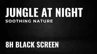 Soothing Jungle Sounds: Relaxing Frogs & Night Ambience (8 Hours Black Screen)