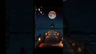 ДОБРОЙ ВАМ НОЧИ, И СВЕТЛОГО ЗАВТРА! 