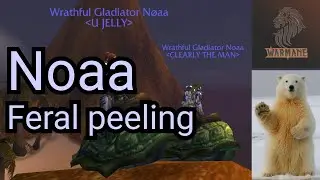Noaa - Feral Peeling - Arena Tournament