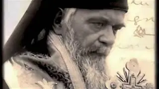 Витезу Светом - Владици Николају