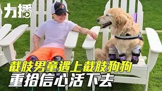 義肢狗遇上義肢男童