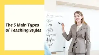 The 5 Main Types of Teaching Styles | ITTT | TEFL Blog