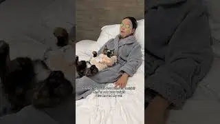 Spending quality time with my cat is the best plan 🤣 #catshorts #shortvideo #viralreels #shortsfeed