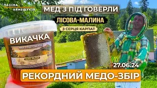 🍯Викачка Лісової-Малини 2024🍯 Натуральний екологічно чистий Мед з під Говерли!