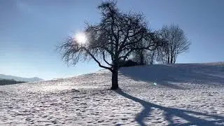 Winterlove ❄️