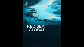 Red Sea Global