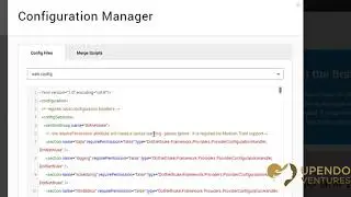 DNN: Configuration Manager