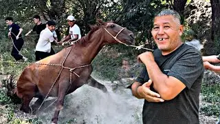 Рустам Атты чыканак мн уруп жыкты