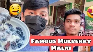 Famous Mulberry Malai🤤🤩 in Charminar/Food/Vlog