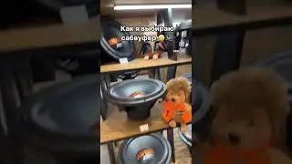 Как выбрать сабвуфер? #miss_spl