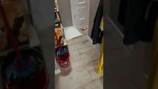 Майло в движении