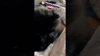 11 февраля 2023 г.