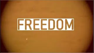 SESSION - FREEDOM