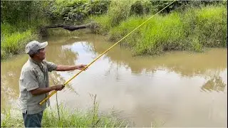 Mancing Seru Banget Dan Menikmati Hasil Pancingan Di Hutan!!! Rejeki Mancing Di Sore Hari