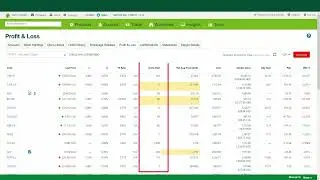 Understanding the Profit and Loss page on the St.George Directshares platform