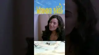 آیا دروغ های آنها برملا می شود؟ #shorts #yaralikuslar #woundedbirds