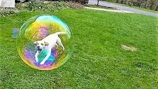 27 Perfectly Timed Photos