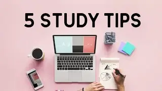 Essential Study Tips for the new year || back to school series