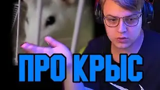 ПЯТЁРКА ПРО КРЫС | ПРОДАЖА КРЫС