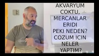 Akvaryum Çöktü Mercanlar Eridi Peki Neden? | Mehmet Hakan TATLICI | Meta Reef Aquarium
