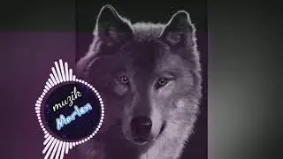 Мадина музыкасы