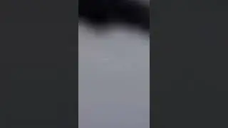 Покрасил морду Вогли 