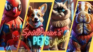 Spiderman's Collection Pets, be Amazed! #avengers #marvel #spiderman