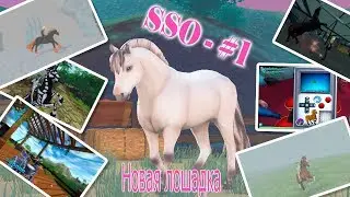 SSO - Приложение Horses #1