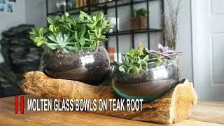 MOLTEN GLASS BOWLS ON TEAK ROOT (CREATIVE IDEAS FROM WOOD)