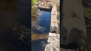 Прозрачная 💦 #вода и 🐟 #озеро Верхнее в селе 🏡 Крюковщина - #водоемы и ставки Киевской области