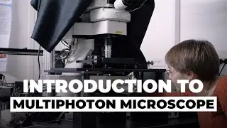 Introduction to multiphoton microscope - DISCO Beamline