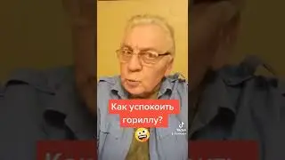 Как успокоить горилу. Анекдот.