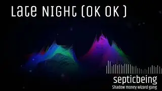 septicbeing - Late Night (ok ok) Official Visualizer