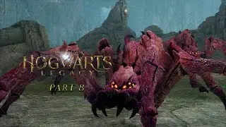 Hogwarts Legacy | Part 8: Follow The Spiders