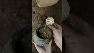 treasure under old carved stone