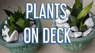 Planty of nature
