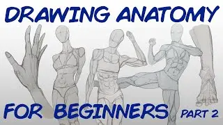 Drawing Anatomy For 5 MORE Days