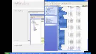Cognos TM1 Server-Architektur
