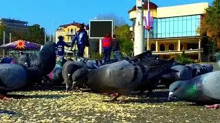 осень