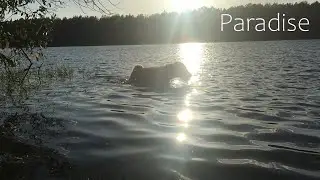 Paradise (remix)